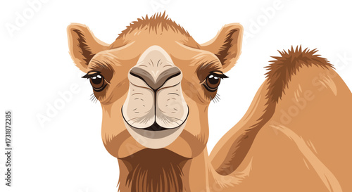 Close up portrait of a camel's face with large brown eyes and a textured coat against a white background.