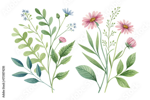 Watercolor Green Botanical Leaves with Wildflowers isolated on white background