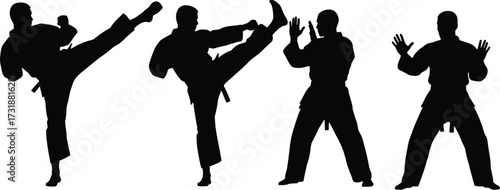 Silhouette of martial arts practitioners demonstrating various stances and kicks, showcasing discipline and skill in combat sports