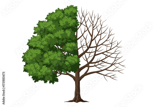 Tree of Life and Death A Dichotomy of Nature.