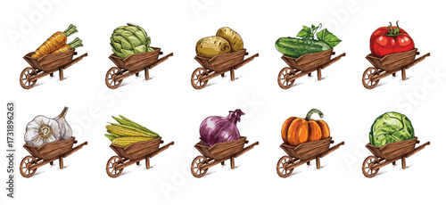 Set of sketches of a farm wooden cart with vegetables. Wheelbarrow with carrots, artichokes, potatoes, cucumbers, tomatoes, garlic, corn, onions, pumpkins, cabbage.