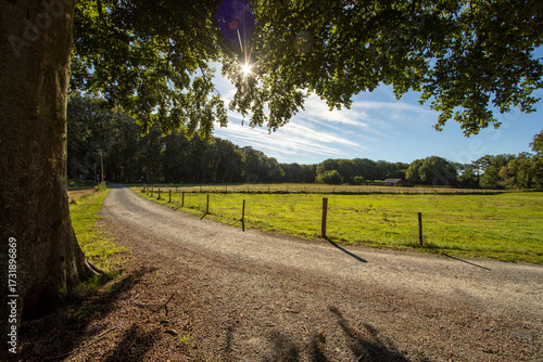 Effelder Waldseepfad, Kreis Heinsberg