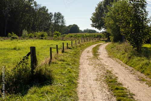 Effelder Waldseepfad, Kreis Heinsberg