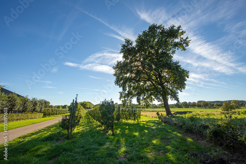 Effelder Waldseepfad, Kreis Heinsberg