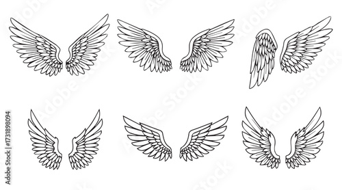 set of angel wing vector line art