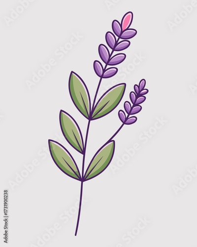 Purple Lavender Flower Detailed Illustration