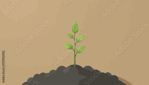 vector of plant grow process