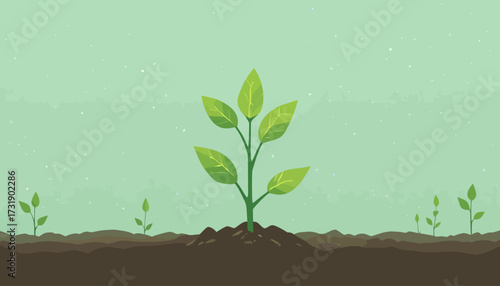 vector of plant grow process