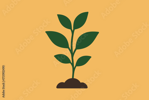 vector of plant grow process