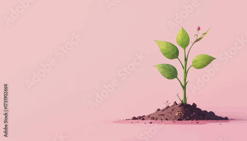 vector of plant grow process
