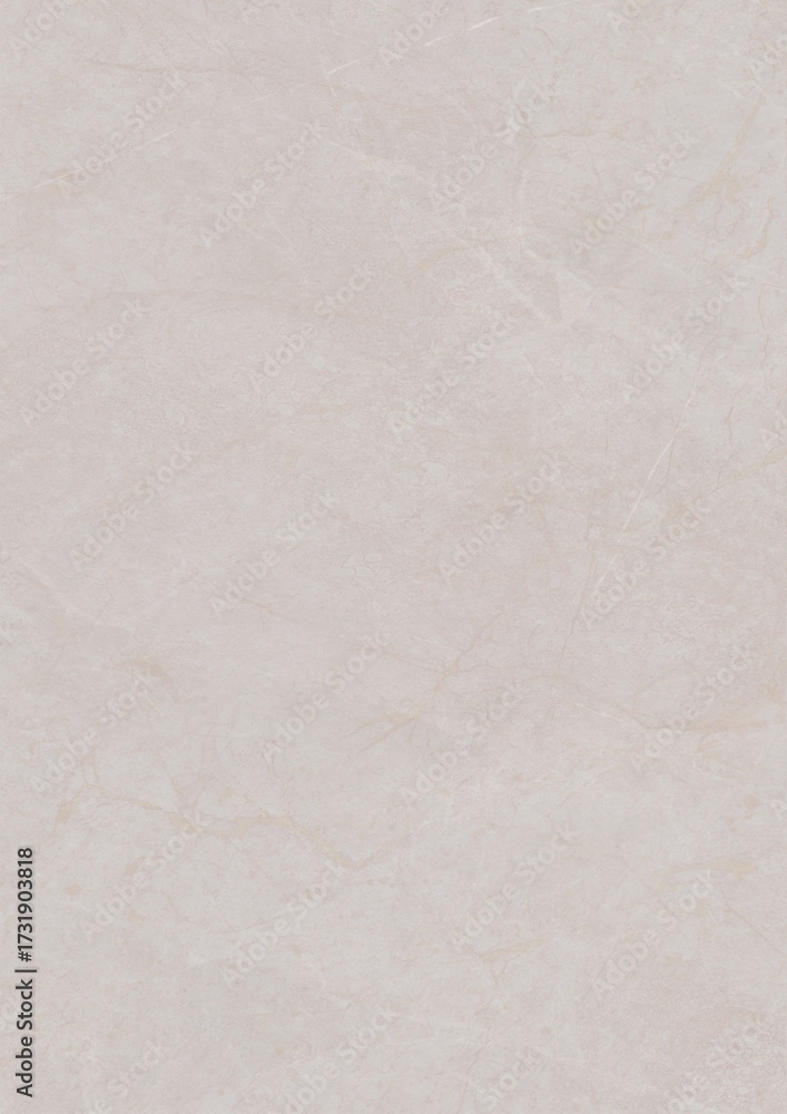 Fototapeta premium Close-up of a plain light gray textured surface