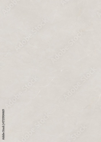 Wallpaper Mural A plain light gray textured surface with subtle variations in tone and faint patterns. Torontodigital.ca