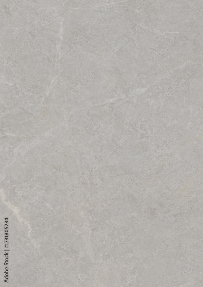 Fototapeta premium Close-up of a light gray textured surface with subtle veining patterns