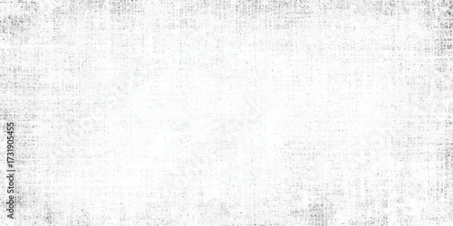 Abstract Background Pattern with Speckled Texture in Shades of Gray and White