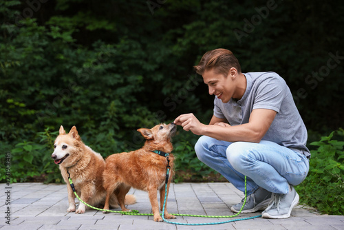 Photography Young man giving treat to his cute dogs while walking outdoors