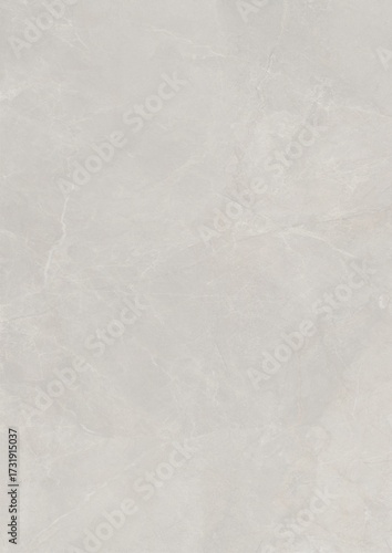 Wallpaper Mural Close-up of a smooth, light gray textured surface with subtle veining patterns Torontodigital.ca