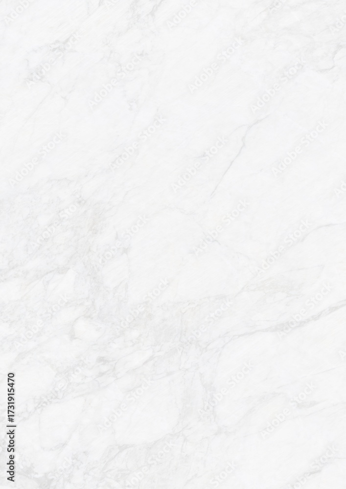 Obraz premium White marble surface with subtle gray veining patterns