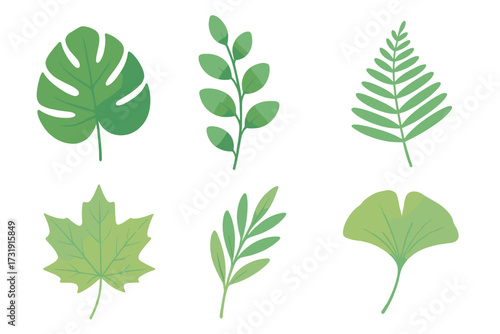 Diverse collection of green leaves and botanical foliage elements with various plant shapes and natural forms on a clean background
