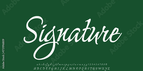 Manual signature for documents on white background. Hand drawn Calligraphy lettering Vector illustration