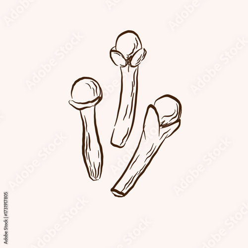 Carnation spice hand drawn sketch on isolated background. Dry aromatic buds of clove tree. Botanical illustration of plant for incense, food, medicine, oil. Design element for logo, sign, wrapping