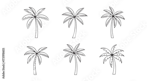set of palm trees