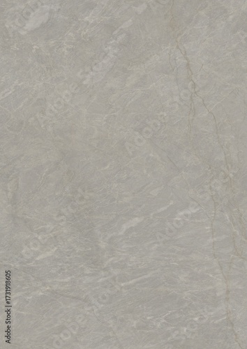 Wallpaper Mural Close-up of light gray marble surface with subtle veining patterns Torontodigital.ca