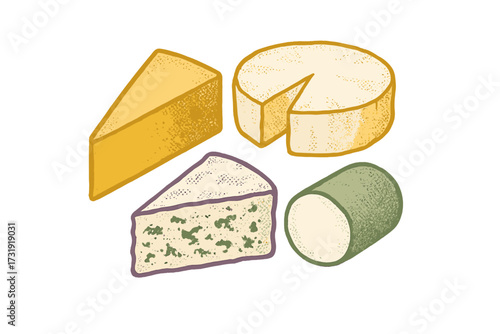 Assortment of gourmet cheese types: blue cheese, cheddar, and soft varieties for a culinary experience