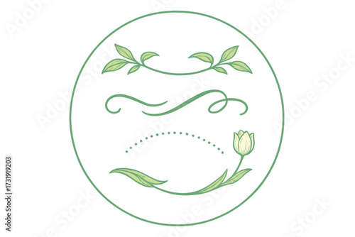 Elegant botanical decorative elements with floral flourishes, natural leaf dividers, and a delicate tulip for design projects