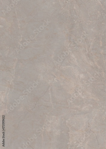 Wallpaper Mural Close-up of a textured gray surface with subtle natural patterns and veining Torontodigital.ca