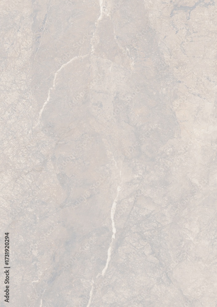 Fototapeta premium Close-up of a light gray marble surface with natural veining patterns