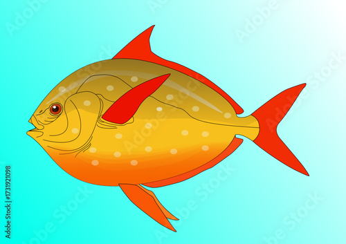 Golden Fish Illustration
