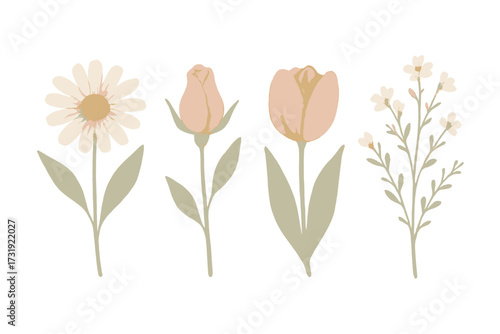 Collection of delicate watercolor style pastel flowers featuring a daisy, rosebud, tulip, and small botanical blossoms