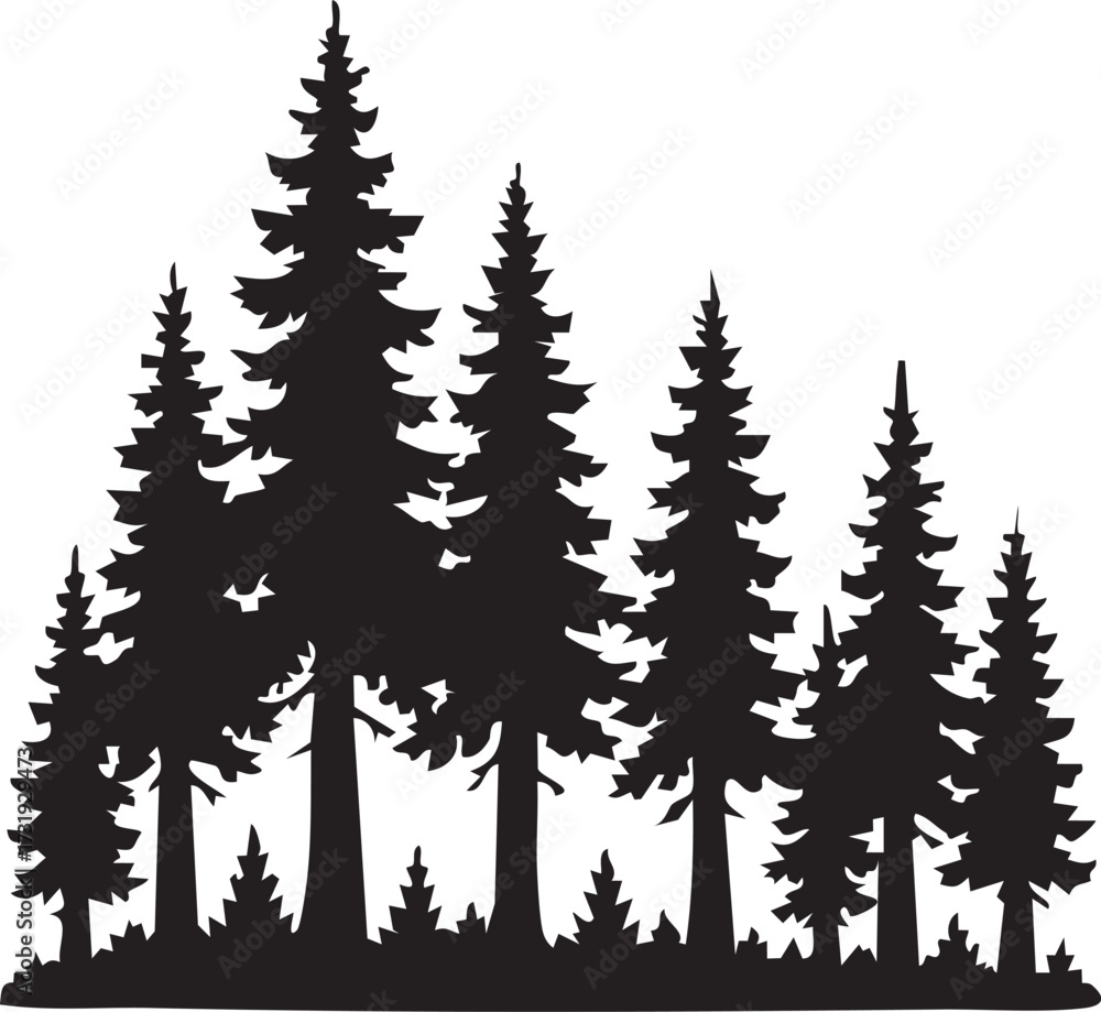 Obraz premium Silhouette of a Pine forest silhouette