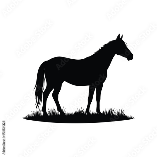 Silhouette of a majestic horse standing gracefully in a field of grass, horse pasture silhouette vector illustration