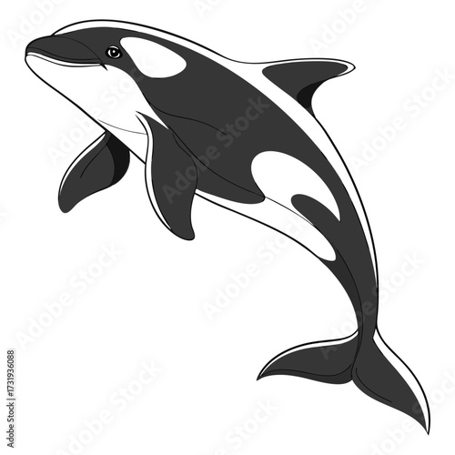 A photorealistic image of an orca, centered in the frame, against a stark white background. The orca is positioned mid-air, arched in a dynamic pose, as if leaping or diving. Its body exhibits the cha