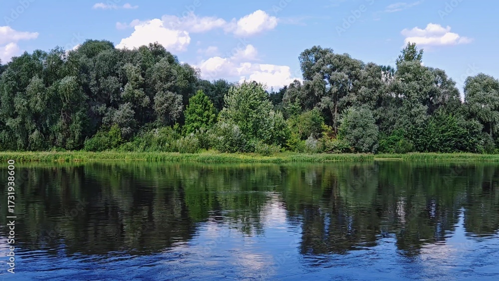 Fototapeta premium Beautiful landscape lake, forest, river and trees in summer. Sunny summer day on river. White clouds are reflected in water.