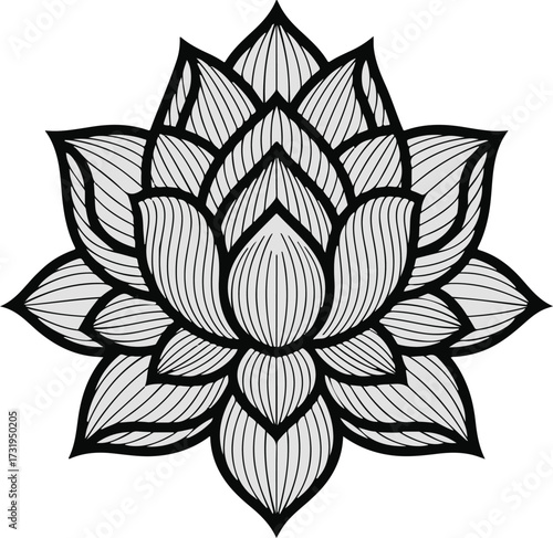 Breathtaking ornamental lotus flower design intricate line art petals sacred symbolism vector