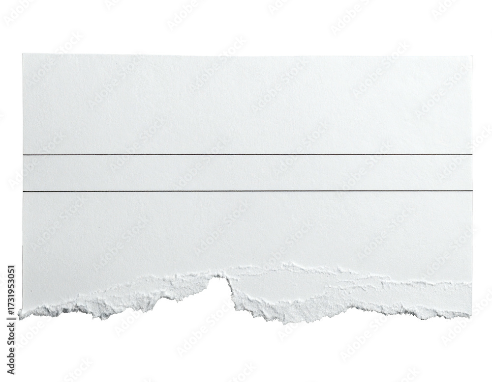 Obraz premium Blank white torn paper with a horizontal line