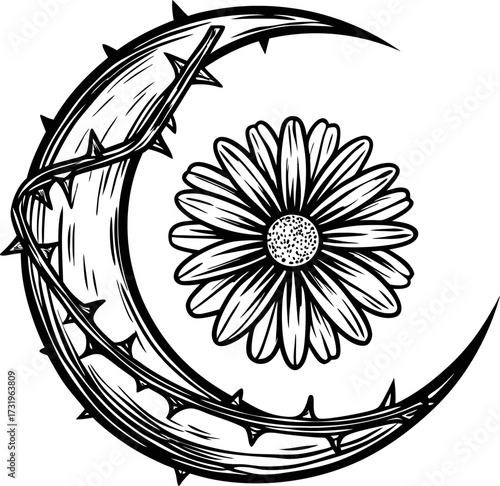 Thorn wrapped crescent moon with daisy flower centerpiece black and white mystical illustration, botanical celestial art
