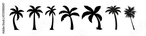 palm trees silhouette set, tropical coconut, isolated on white background.Icon set featuring various palm