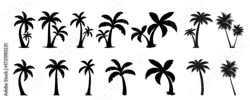 palm trees silhouette set, tropical coconut, isolated on white background.Icon set featuring various palm