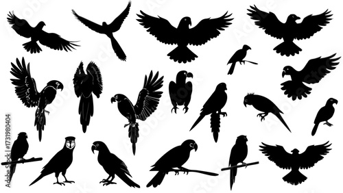 set of silhouettes of parrots