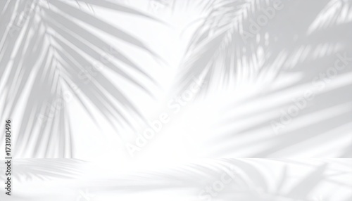 Light and shadow play of palm fronds on a white surface