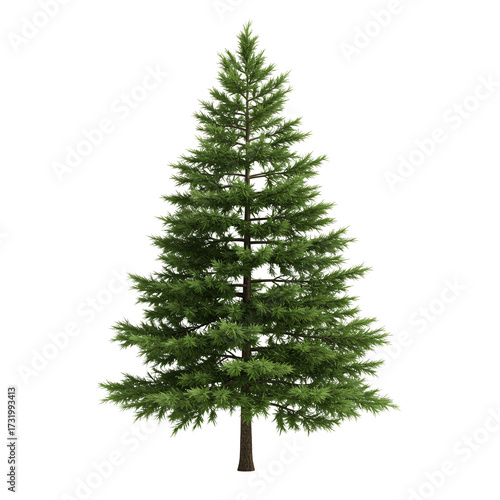 (AI) Lush evergreen conifer tree on transparent background