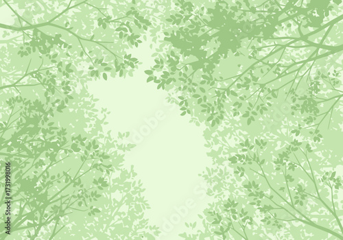 A view looking up through the canopy of green trees with sunlight filtering through the leaves.