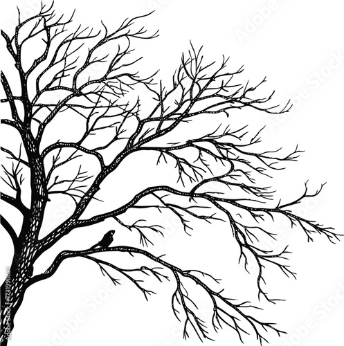 Detailed vintage sketch of a bare tree with spreading branches and perched bird. Hand-drawn engraving style black silhouette design perfect for nature, forest, and seasonal themes.