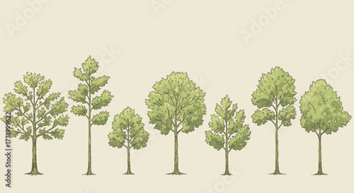 Various stylized illustrations of different types of trees, showcasing diverse shapes and foliage