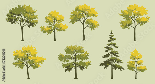 Collection of various stylized trees in green and yellow hues. Isolated vector illustration set of deciduous and coniferous forest elements