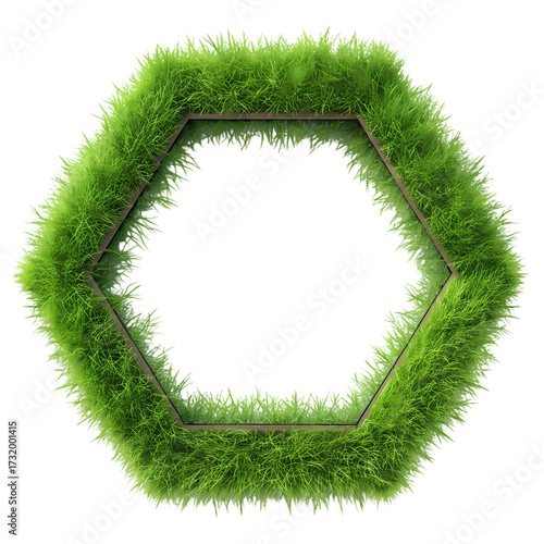 Fresh Green Grass Hexagon Border – Sustainable Concept on a transparent background