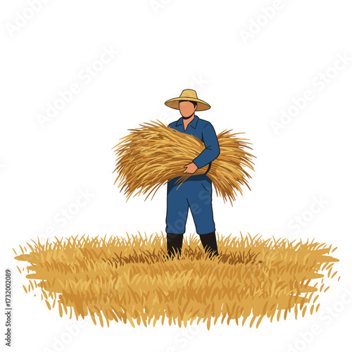 Farmer carrying harvested wheat in field with straw background  